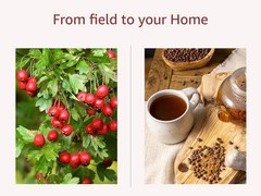 Whole Hawthorn Berries Dried Crataegus Monogyna – Herbal & Culinary Use