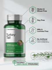 Turkey Tail Mushroom Capsules 1200mg | 120 Count | Non-GMO | by Horbaach