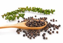 Piperine Powder (Black Pepper Extract)