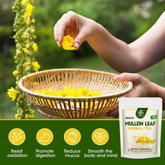 Mullein Tea Herbal Mullein Leaf Tea Bags Natural for Lung Cleanse & Detox