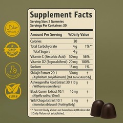 Pure Shilajit Gummies With Black Seed Oil – Energy Boost, Immune Support – 60Pcs