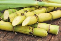 Sugar Light Brown Pure Crystalized Cane | 1lb to 5lb | Natural Hand Crafted