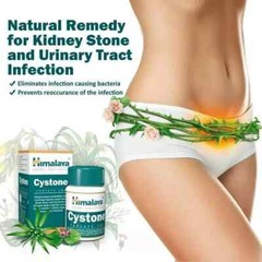 Himalaya Cystone Tablets Pack of 5 | Herbal | Free Shipping | Urinary Care
