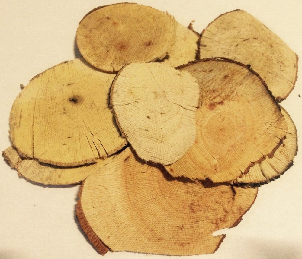 8 oz. Tongkat Slices Black (Polyalthia Bullata) Wildharvested Indonesia
