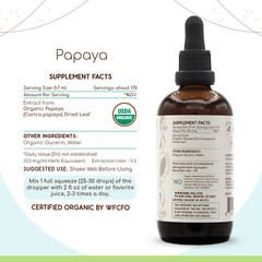 HerbEra Papaya Alcohol-FREE Tincture, Organic Papaya (Carica papaya)
