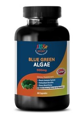 blood sugar support – Organic BLUE GREEN ALGAE 500mg – blue green algae powder