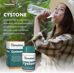 Himalaya Cystone Tablets Pack of 5 | Herbal | Free Shipping | Urinary Care
