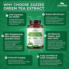 240 Count Green Tea Extract – 50% EGCG, 98% Polyphenols, 8 Supply