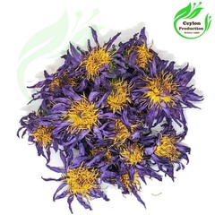 Blue Lotus Flower Tea Bags Organic Nymphaea Caerulea Herbal Caffeine Free
