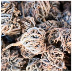 natural 100% flower of maryam herb 200g – كف مريم او عشبة المدينة