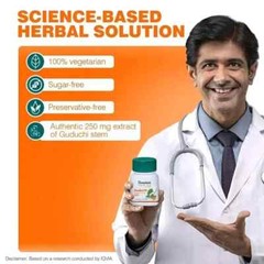 Himalaya Guduchi For Active Immune Support and Cellular Defense 15 BOX 2026 EXP