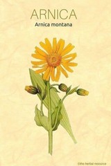 Arnica Tincture ~FAST Pain Relief. Arthritis, Migraines, Bruises, Injury & Spasm