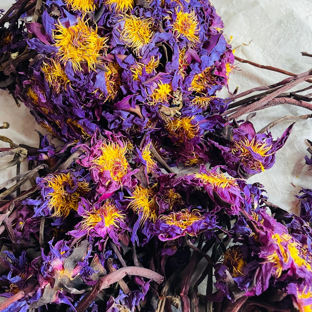 Blue Lotus Whole Flowers With Stem Egyptian Nymphaea Caerulea Herbal Organic Tea