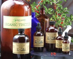 HAWTHORN BERRY Extract BP Cardiac Heart Tonic ~ Organic Folk Remedy Tincture ~