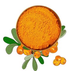 Organic Sea Buckthorn Berry Powder (200 Gram) For Vitamins & Minerals