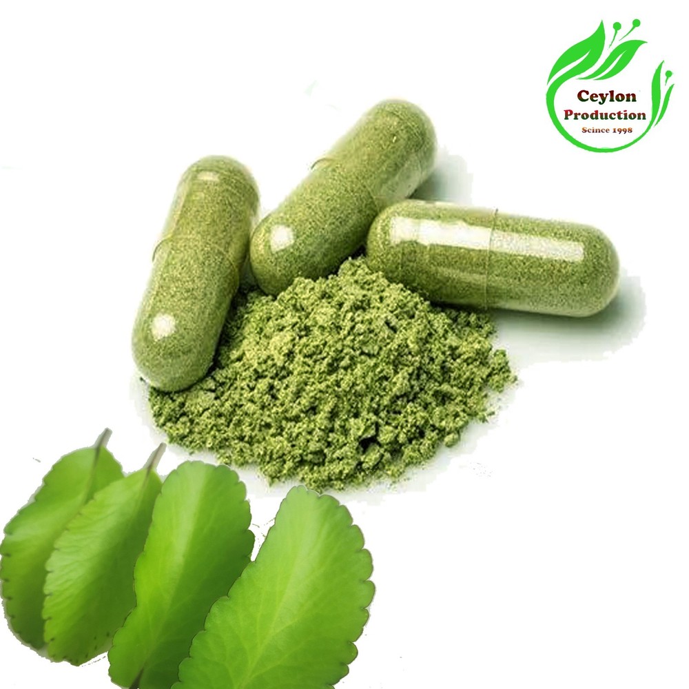 Kalanchoe pinnata Leaves Capsules(600mg) Herbal Organic Miracle Leaf Air Plant