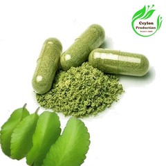 Kalanchoe pinnata Leaves Capsules(600mg) Herbal Organic Miracle Leaf Air Plant