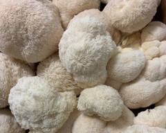 LIONS MANE x CORDYCEPS & REISHI x TURKEY TAIL. DUAL EXTRACT US GROWN -SET
