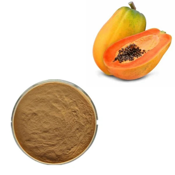 Papaya Seed Extract Powder Carica Papaya 500 Gram