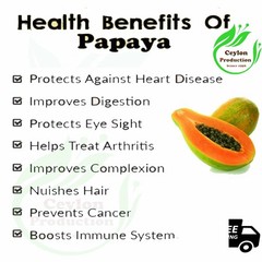 Papaya Fruit Slices 1-2cm Organic Dried Carica Papaya Healthy Snack