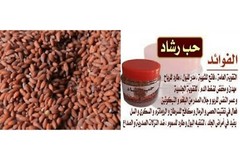 Garden Cress Seeds Lepidium Sativum Halim Chandrasur Chandrashoor حب الرشاد