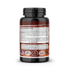 Reishi Mushroom Extract 20:1 Pure Organic Strong 120 Caps (Ganoderma Lucidum)