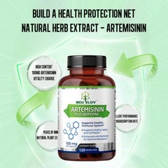 Artemisia Annua Extract Capsules Enhanced with BioPerine for Optimal Absorption
