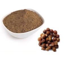 Soapnut Extract Powder (60% Saponin) Sapindus Premium Quality Free-Fast Shipping