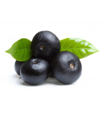 Acai berry powder capsules – Premium – Organic Freeze Dried ~ NEW FRESH STOCK!