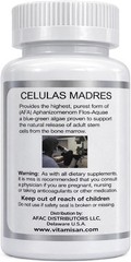 Stem Cell Enhancer with AFA Blue-Green Algae – 60 Gluten-Free Capsules 200mg