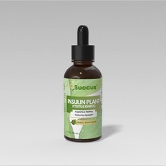 Insulin Plant Tincture – High Quality