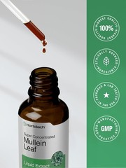 Mullein Drops for Lungs – Mullein Leaf Extract with Chlorophyll for Lung and Res
