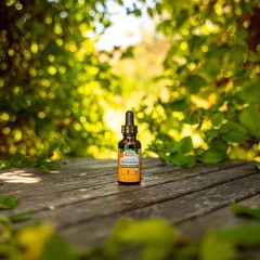 Natural Alcohol-Free Echinacea Glycerite for Kids – 1 Oz Herbal Extract Bottle