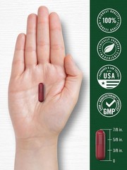 USDA Organic Extra Strength Beet Root 20:1 Extract 8000 mg Strength 120 Capsules
