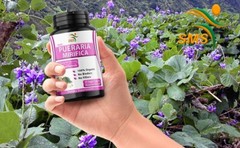 Pueraria Mirifica 5000mg Dietary Supplement Organic 120 Capsule For Women, Trans