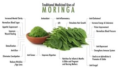 Moringa Seeds for Planting | Non-GMO from India Very Fresh | Free shipping