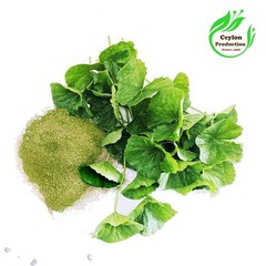 Gotu Kola Centella asiatica Leaves ground powder Dried Organic Herbal pennywort