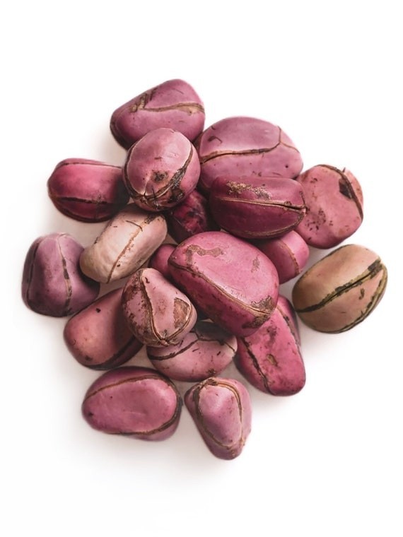 Organic Kola Nut by Kamga Botanicals