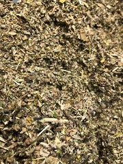 Sage Lettuce Damiana Catnip Colts Lobelia Skullcap Mull Passionflower -No.28 Mix