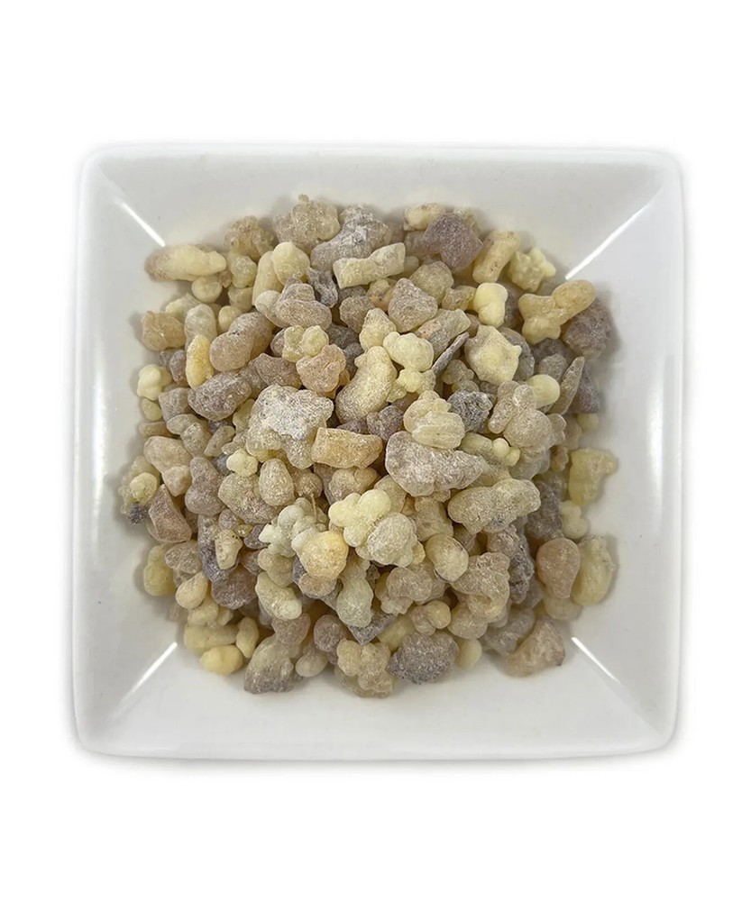 Wildcrafted Boswellia Serrata Resin – Premium (Indian Frankincense) Tears USA