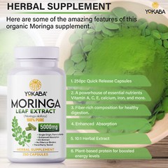 500 Capsules Moringa Oleifera Leaf Powder 5000mg – Organic Herbal Extract YOKABA