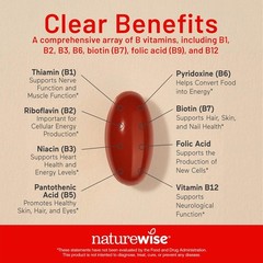 NatureWise Vitamin B Complex for Women and Men – with Folic Acid Biotin B1 B2 B3
