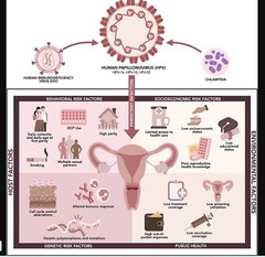 NATURAL HELP FOR HPV FREEPAPILLOMA MEN & WOMEN – MADE IN USA
