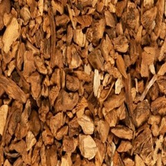 TURKEY RHUBARB ROOT 100 Vegetarian Capsule