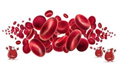 Fight Inflammation Pills – Blood Sugar Support 600mg – Bitter Melon Seeds 1B