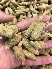 1LB Per Bag High-Quality American Ginseng Root 正宗半野美国威州花旗参/西洋参(1磅装)-U.S Seller