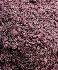 Bilberry Fruit Powder – 100% Pure, Non-GMO Vaccinium Myrtillus, Antioxidant USA
