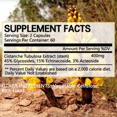 Cistanche Tubulosa 400mg Extract Strength Endurance Gluten-Free Non-GMO 120Caps