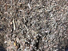 No.19 Mix – Wild Lettuce Passionflower Damiana Mullein Marshmallow – 4 Ounce’s