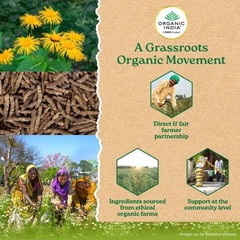 Organic India Breathe Free 60 Veg Capsules Ayurvedic Herbal Wellness 3 Pack